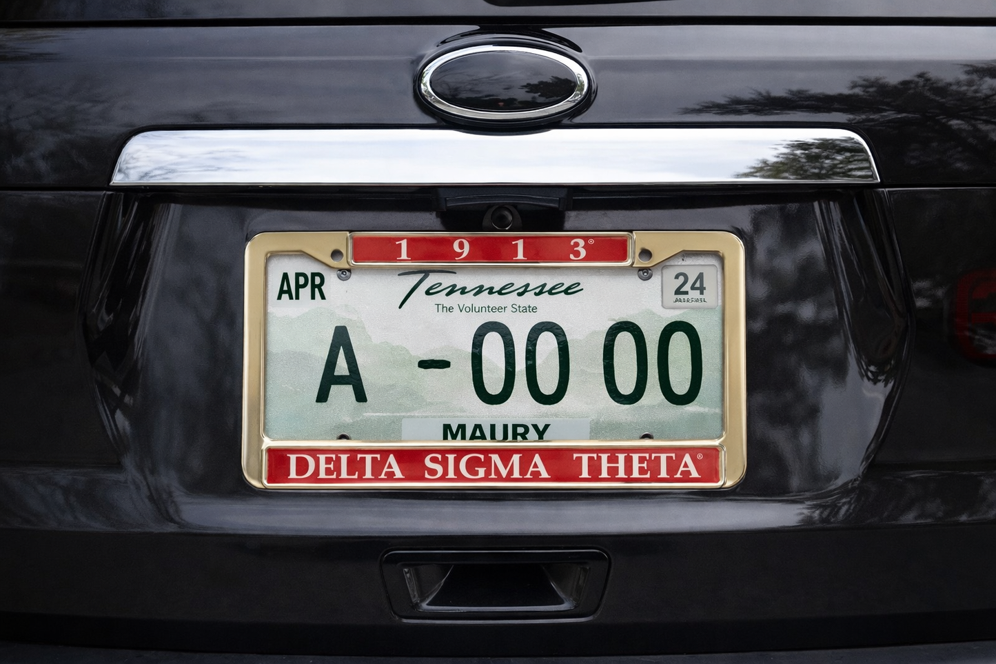 Delta License plate frame