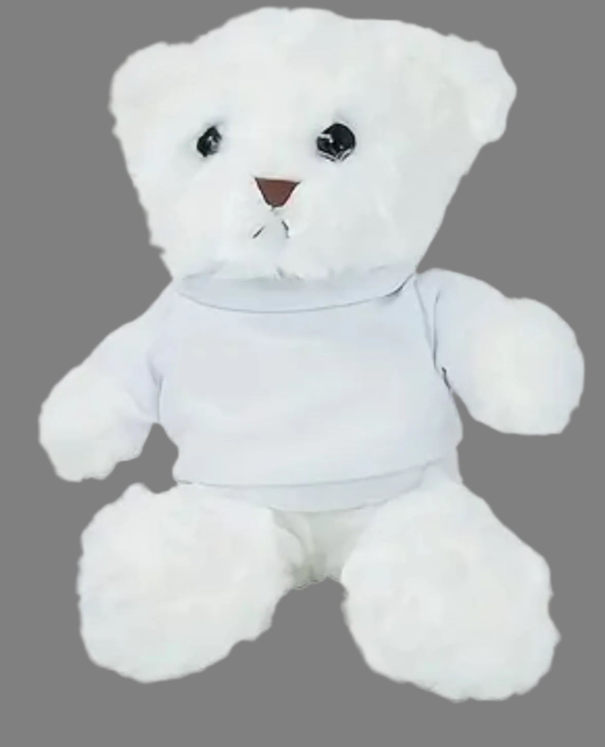 Personalized Teddy Bear