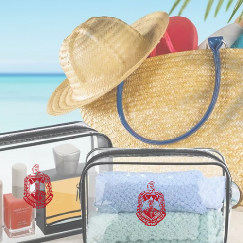 Delta clear TSA approve accessory pouch