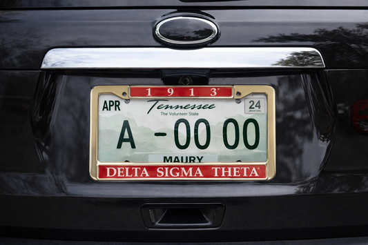 Delta License plate frame