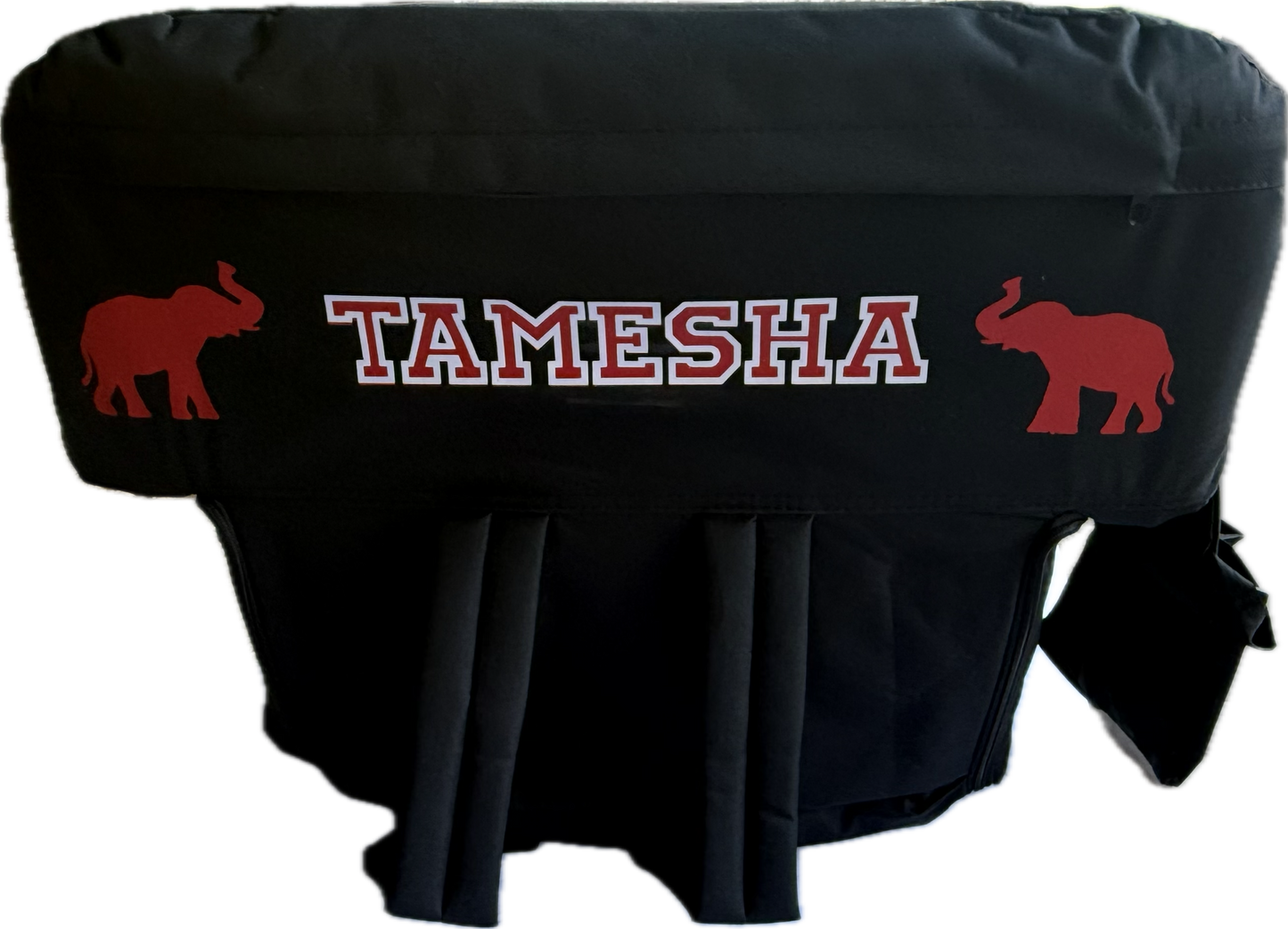 Personalized stadium seats