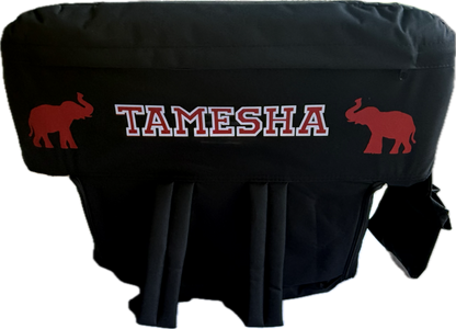 Personalized stadium seats